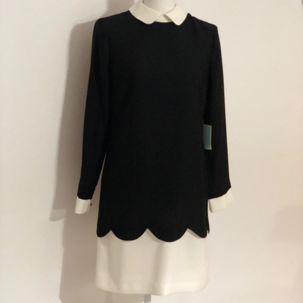 'Jada' Collared Shift Dress by CECE